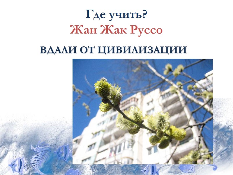 Где учить? Жан Жак Руссо ВДАЛИ ОТ ЦИВИЛИЗАЦИИ
